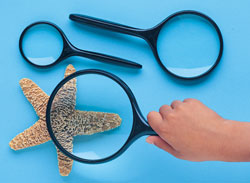 Magnifying Glass 2 inch