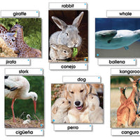 ANIMAL FAMILIES LANGUAGE CARDS