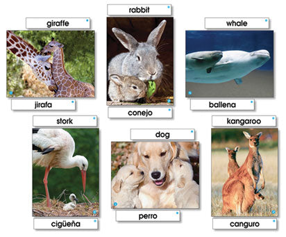 ANIMAL FAMILIES LANGUAGE CARDS