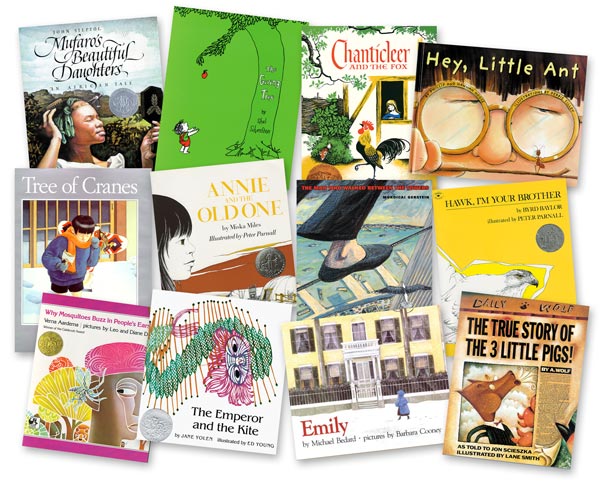 Picture Book Library For Older Students