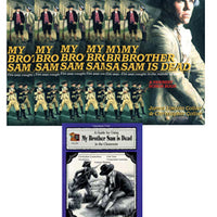 My Brother Sam Is Dead 6 Books & Literature Guide