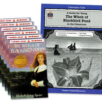 Witch of Blackbird Pond 6 Books & Literature Guide