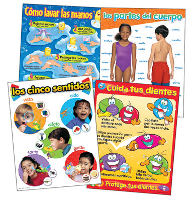Health Charts Set Spanish