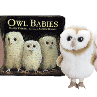 Owl Babies Set