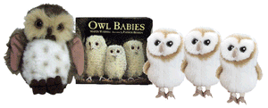 Owl Babies Set