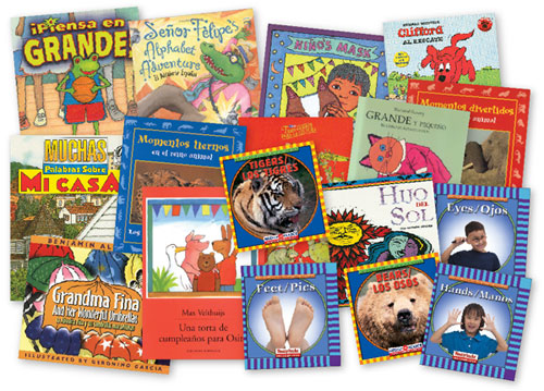 Spanish Classroom Value Library Set of 25 Books