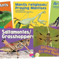 Insects Discovery Bilingual Book Set