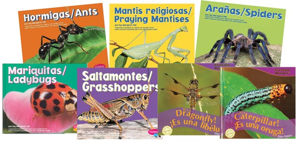 Insects Discovery Bilingual Book Set