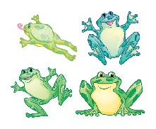 Happy Frogs Accents