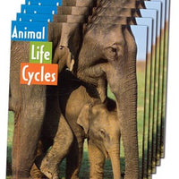 Animal Life Cycles Student Book Set