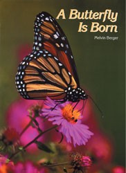 A Butterfly Is Born Big Book