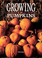 Growing Pumpkins