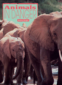 Animals in Danger Big Book