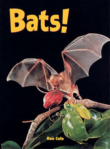 Bats Student Book Set