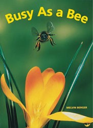 Busy As a Bee Big Book