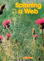 Spinning a Web Big Book
