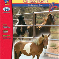 Misty of Chincoteague Lit Links Guide
