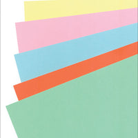 Tagboard Assorted Colors