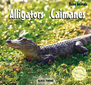 Alligators / Caimanes Bilingual Library Bound Book
