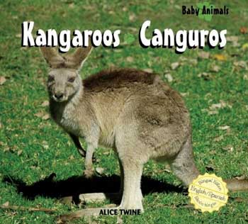 Kangaroos / Canguros Bilingual Library Bound Book