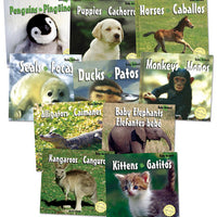 Baby Animals Bilingual Book Set