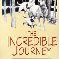 Incredible Journey English Set  (6 Books & Teacher Guide)