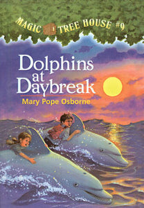 Dolphins at Daybreak Hardcover