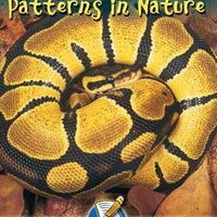 Patterns in Nature Lap Book