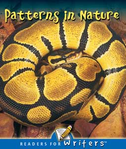 Patterns in Nature Lap Book