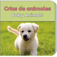 Baby Animals Bilingual Board Book