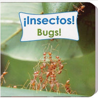 Bugs Bilingual Board Book