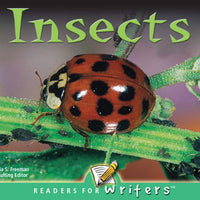 INSECTS ENGLISH LAP BOOK