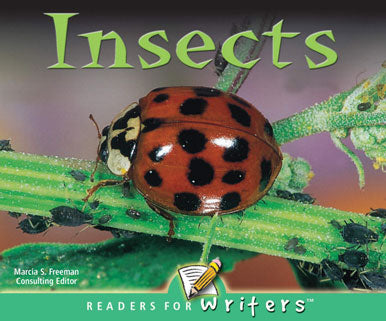 INSECTS ENGLISH LAP BOOK