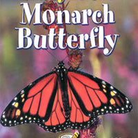 Life Cycle of a Monarch Butterfly Big Book