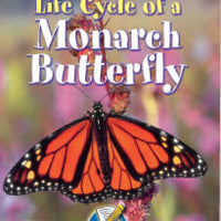 Life Cycle of a Monarch Butterfly /Ciclo de vida de una mariposa  Student Book