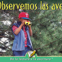 Observemos las Aves Lap Book - Spanish (Let's Look)