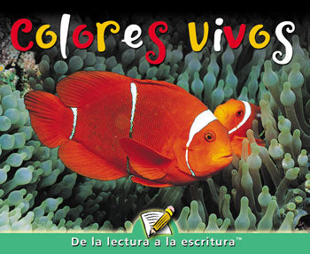 Colores Vivos Lap Book - Spanish (Living Colors)