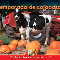 Pumpkin Time Spanish Lap Book