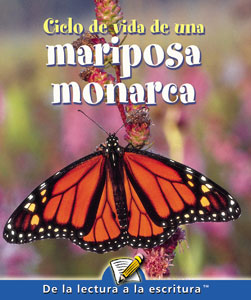 Ciclo de Vida de una Mariposa Monarca Spanish Lap