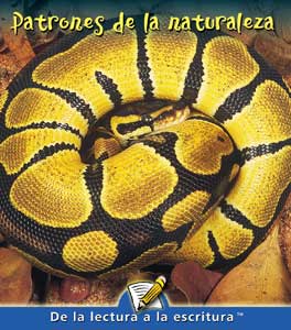 Patrones de la Naturaleza Lap Book - Spanish (Patt