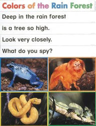 Rain Forest Pocket Chart Poems
