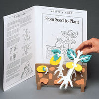 Seed to Plant Model