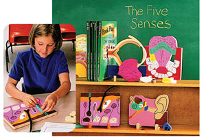 Five Senses Anatomy Models (5)