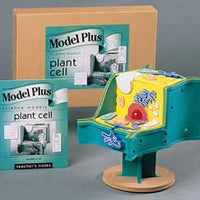 3-D Plant Cell Model
