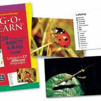 Insects & Bugs Flashcards