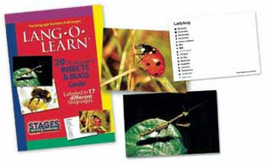 Insects & Bugs Flashcards