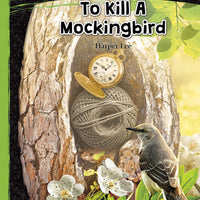 To Kill A Mockingbird Guide