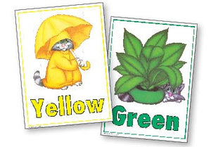 Color Learning Cards