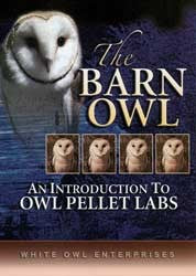 The Barn Owl DVD