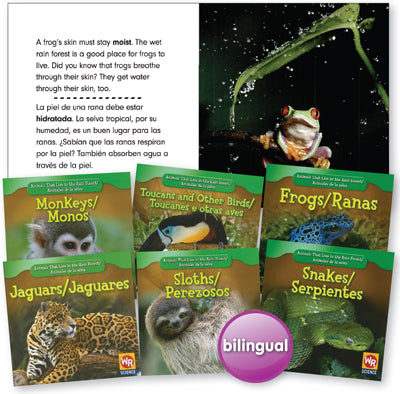 Animals That Live in the Rain Forest Bilingual Book Set